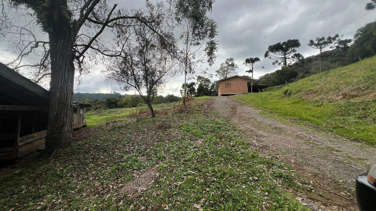 Sítio à venda no 1º Seção de Castro: 
