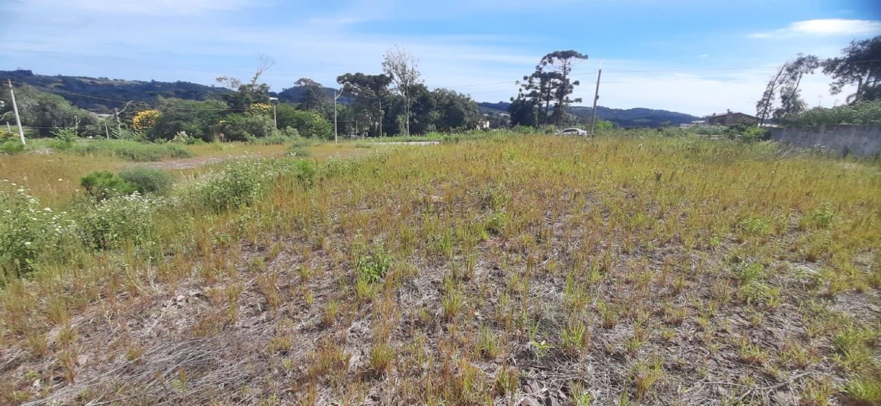Terreno à venda no Vitória: 