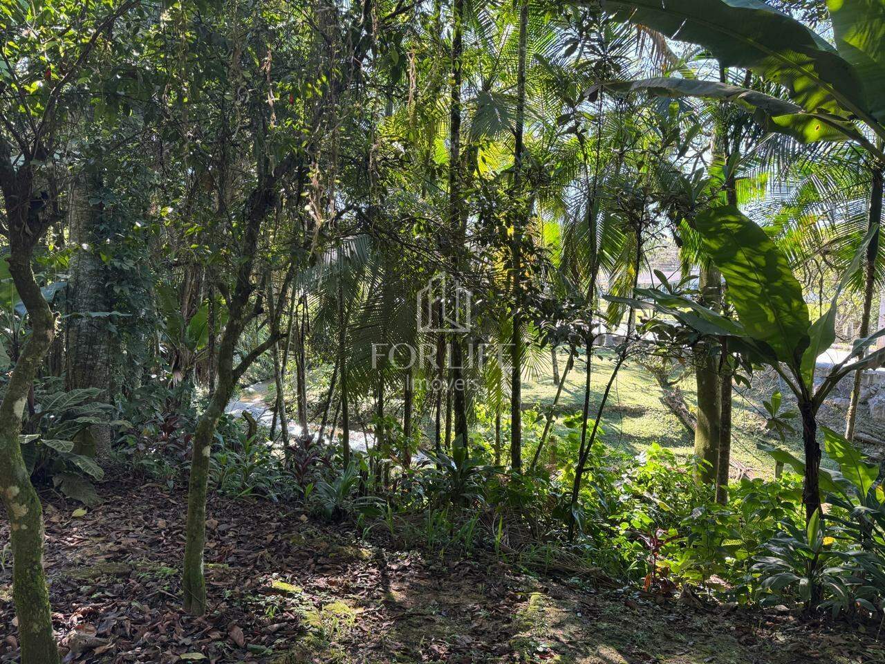 Terreno à venda no Barracão: 