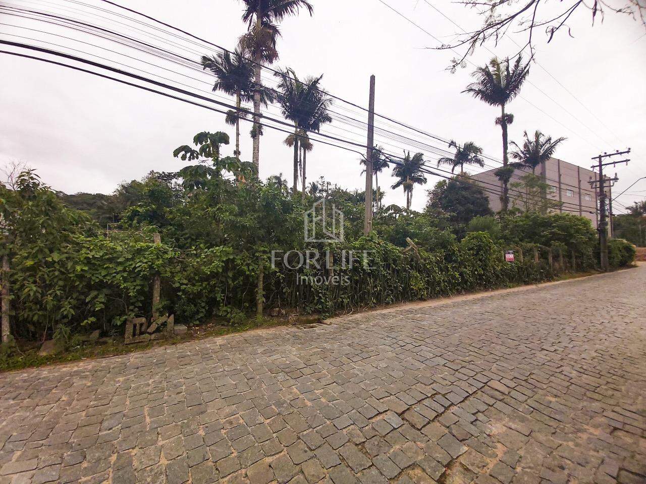 Terreno à venda no Figueira: 