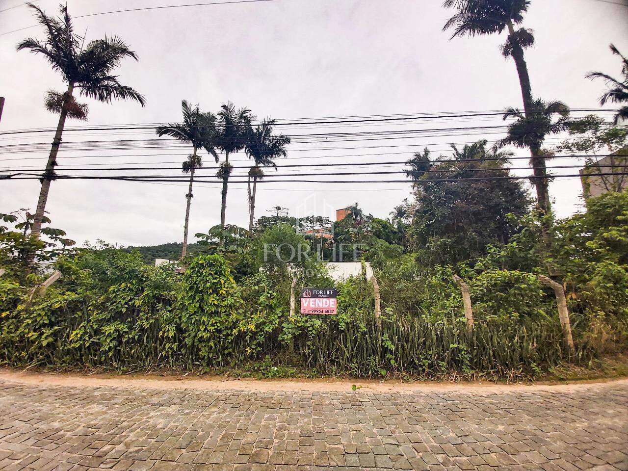 Terreno à venda no Figueira: 