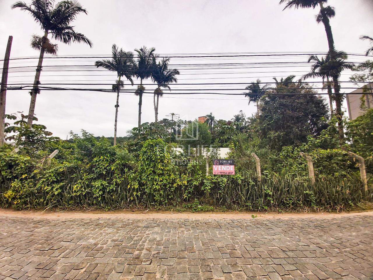 Terreno à venda no Figueira: 