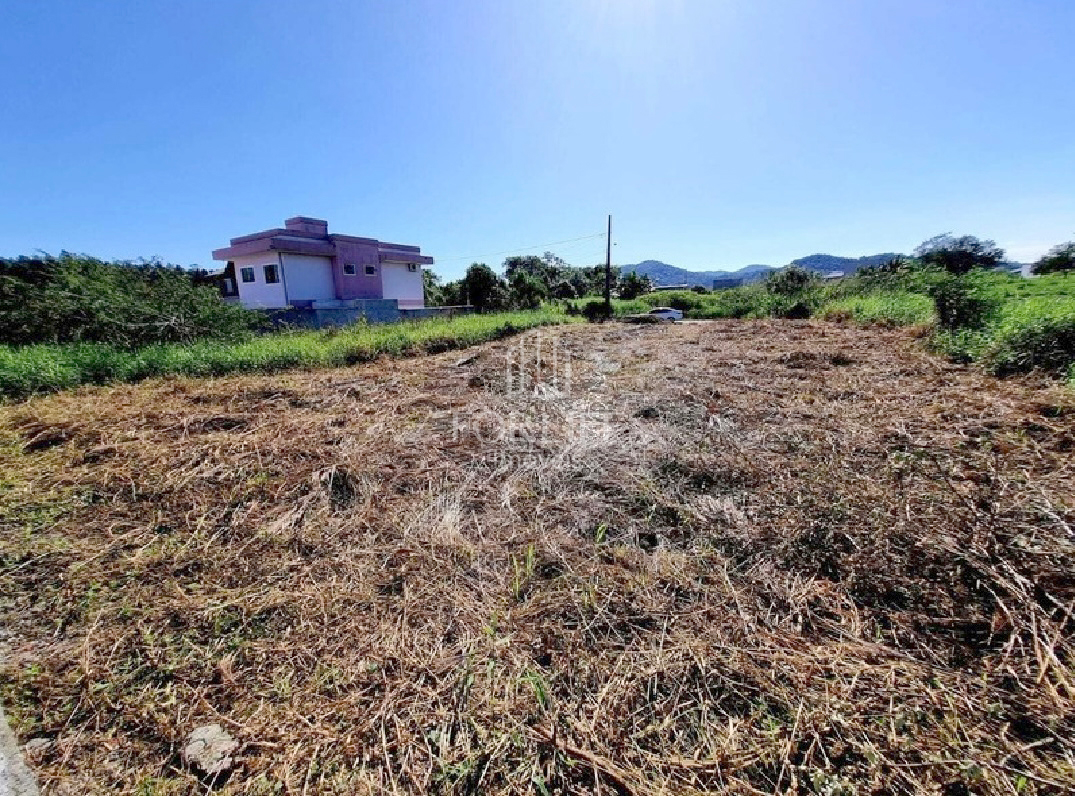 Terreno à venda no Figueira: 