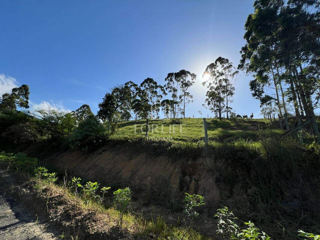 Terreno à venda no Gaspar Mirim: 