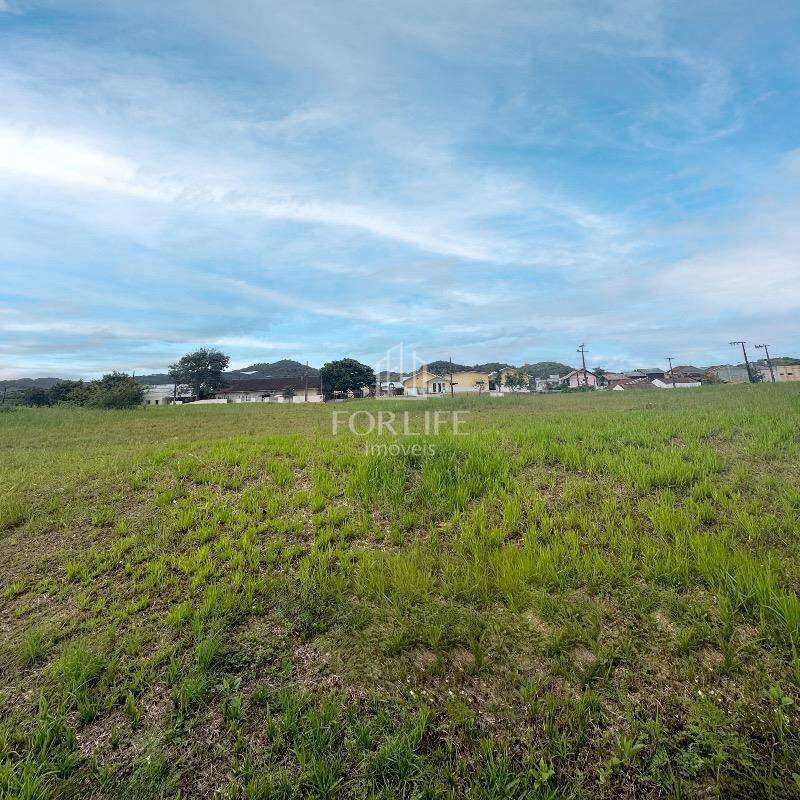 Terreno à venda no Figueira: 