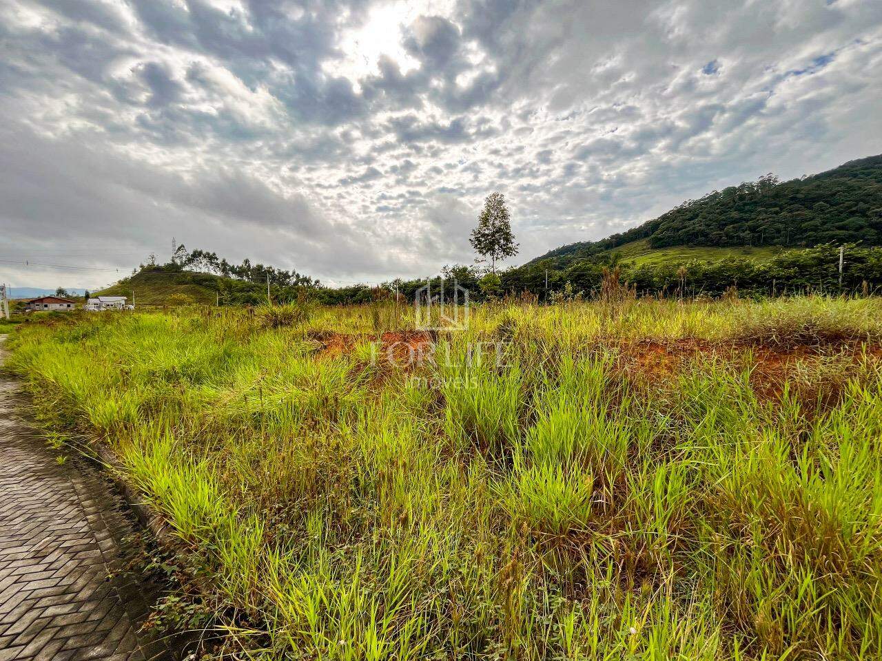 Terreno à venda no Santa Terezinha: 