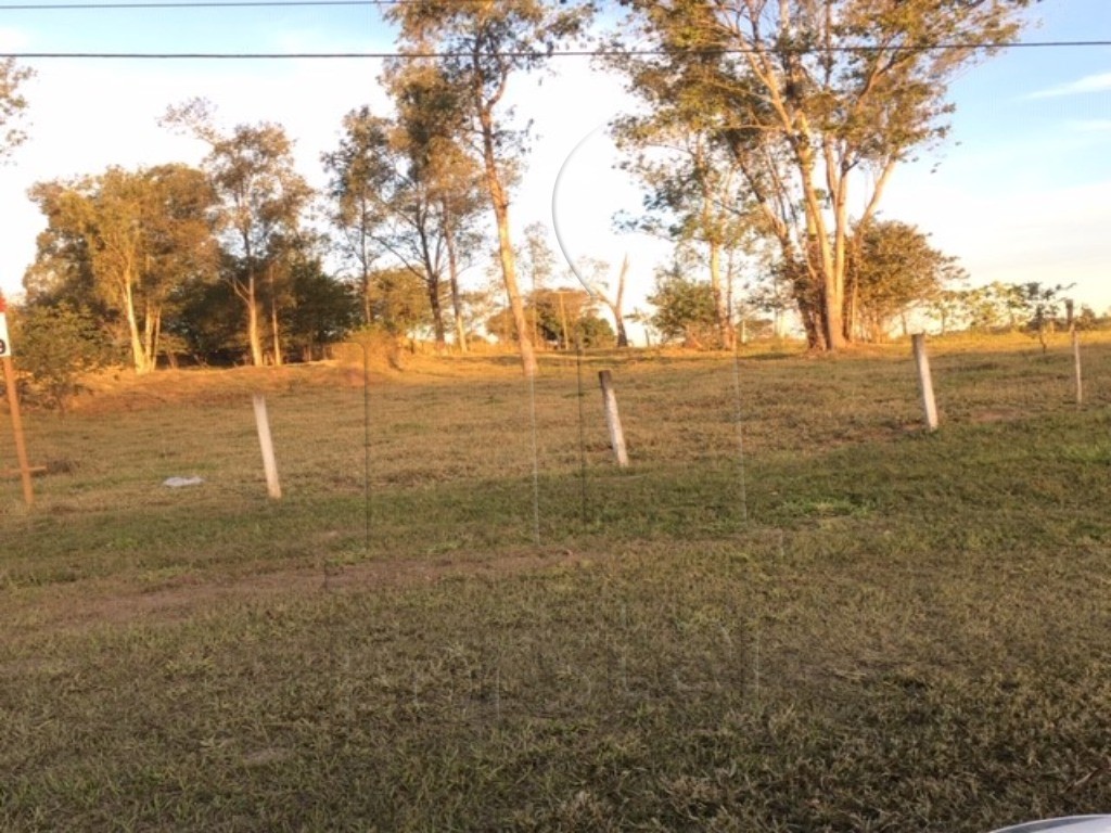 Chácara à venda no PINHAL: Foto 02