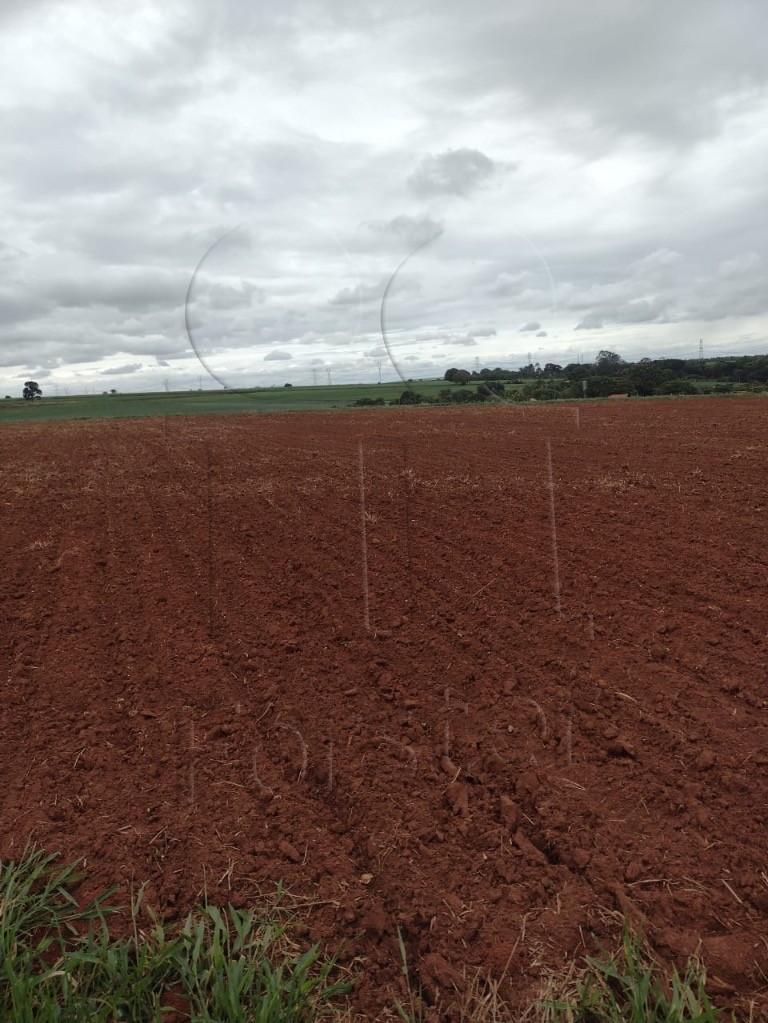 Chácara à venda no Bairro do Pinhal: Foto 04