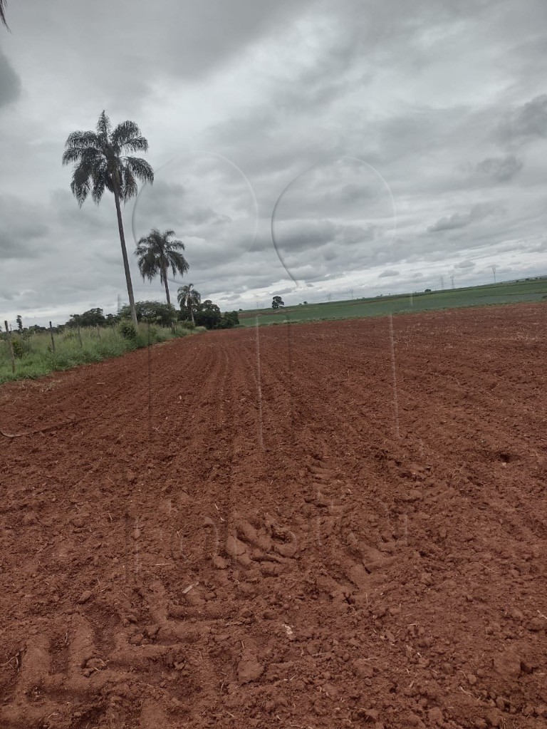 Chácara à venda no Bairro do Pinhal: Foto 03