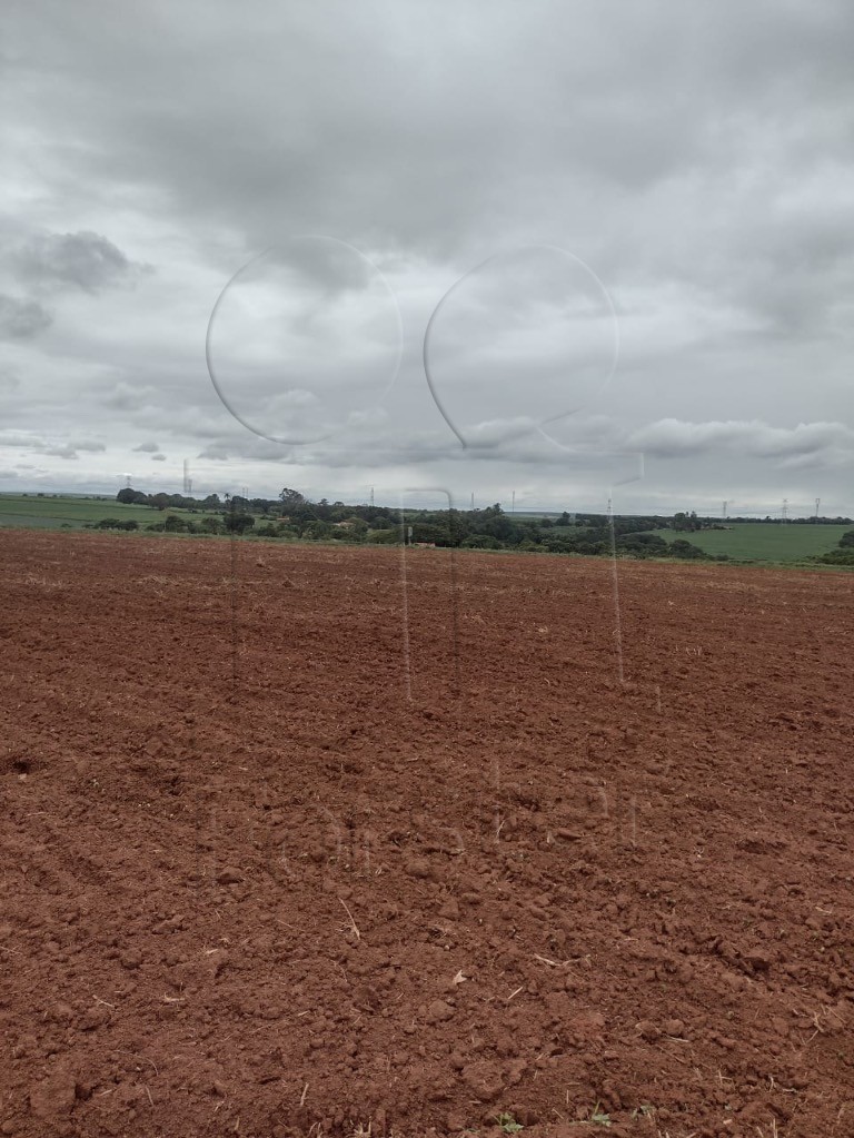 Chácara à venda no Bairro do Pinhal: Foto 01