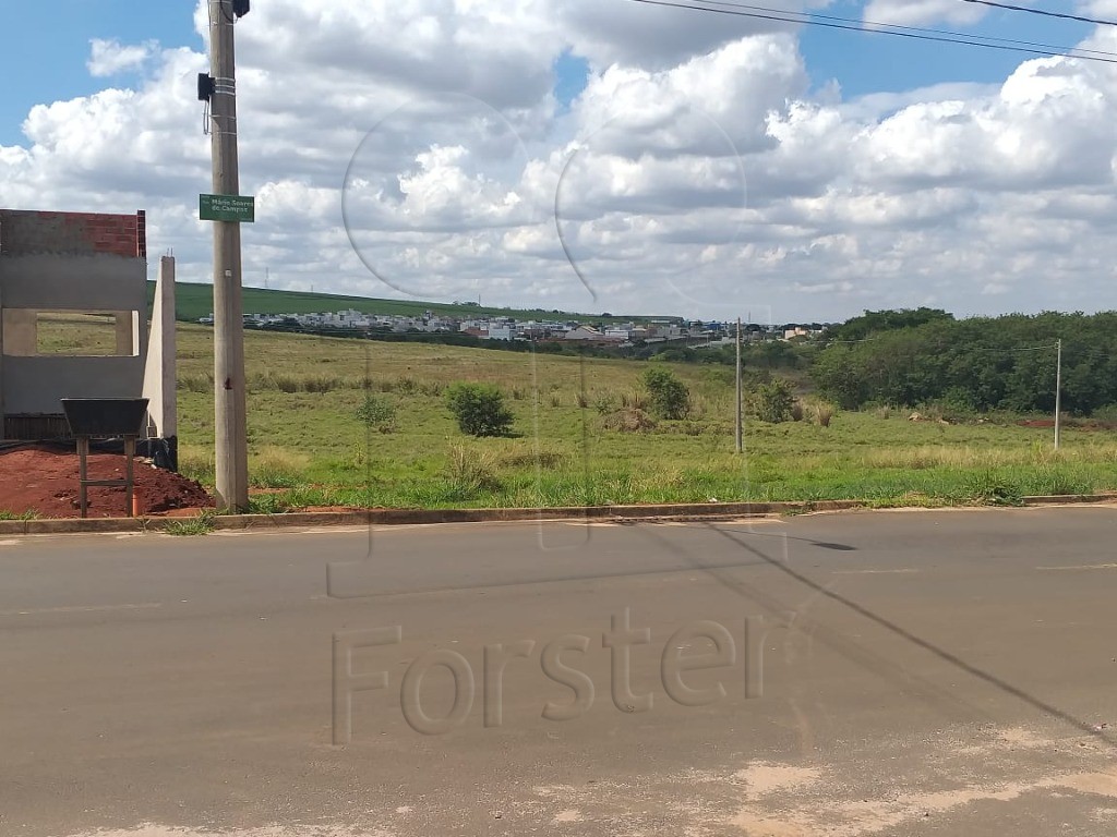 TERRENO à venda no JARDIM CIDADE UNIVERSITÁRIA I: Foto 01
