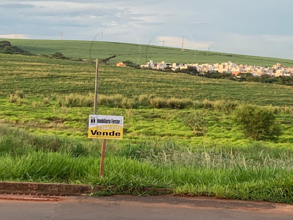 TERRENO à venda no JARDIM CIDADE UNIVERSITÁRIA I: Foto 05