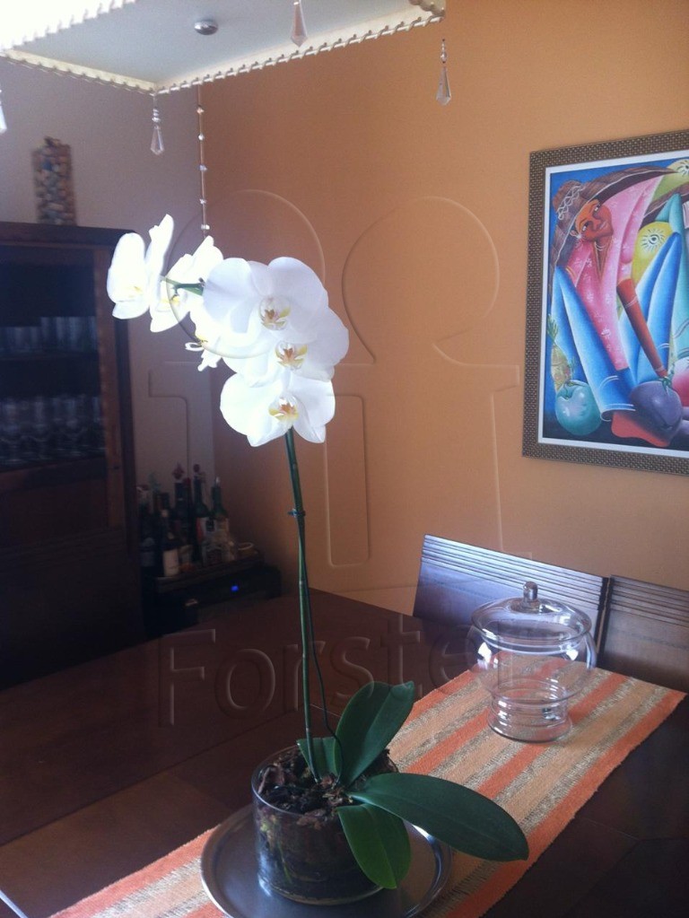 Apartamento à venda no Centro: Foto 04