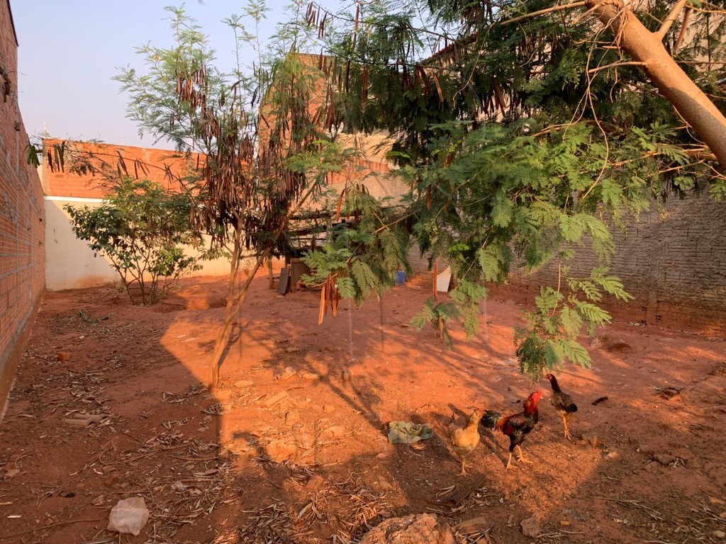 TERRENO à venda no RESIDENCIAL PALMEIRA REAL: Foto 02