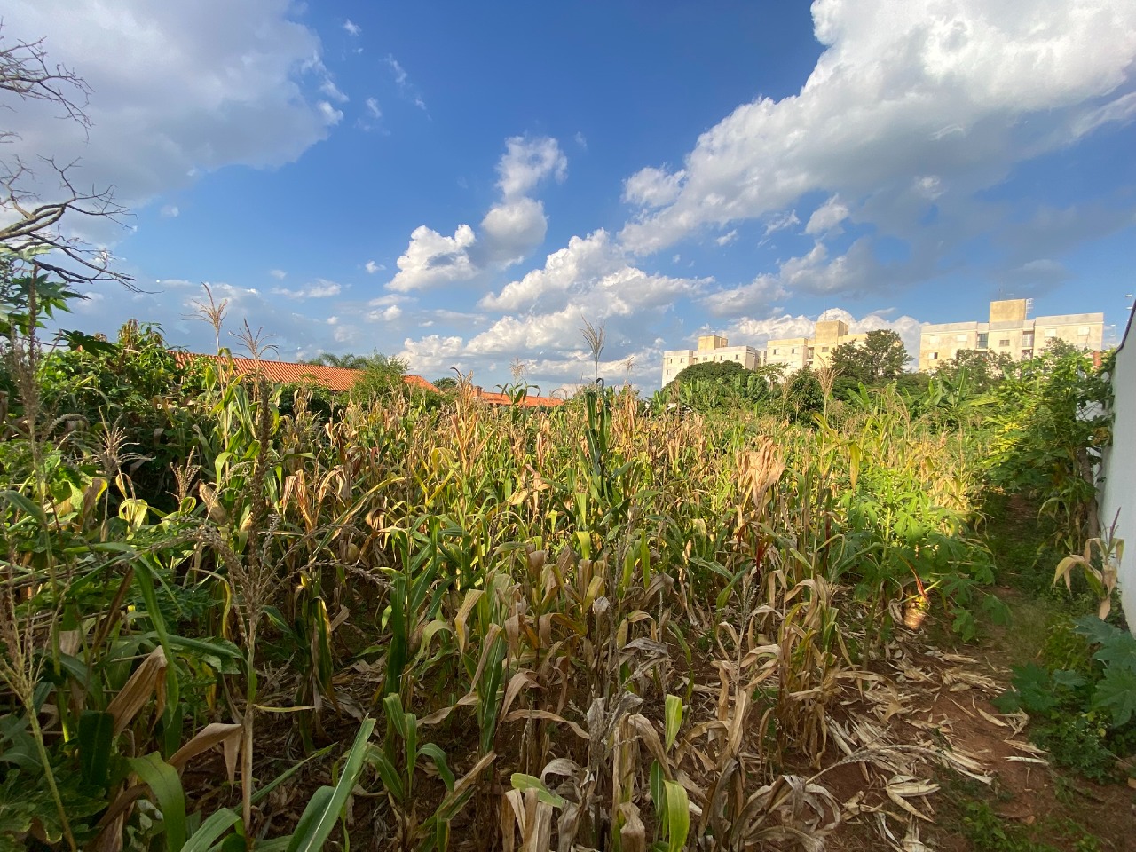 TERRENO à venda no JARDIM RESIDENCIAL RECANTO ALVORADA: 