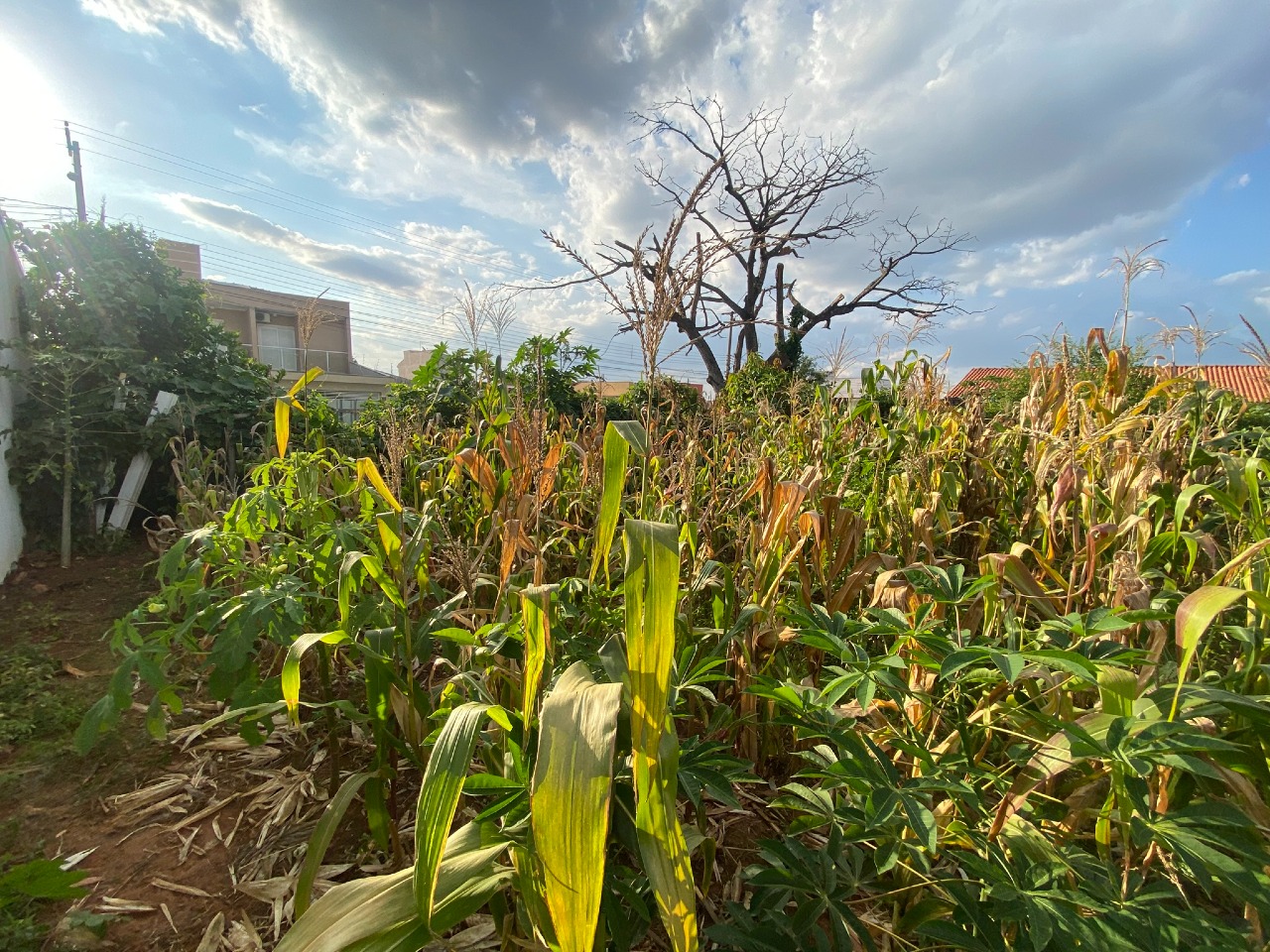TERRENO à venda no JARDIM RESIDENCIAL RECANTO ALVORADA: 