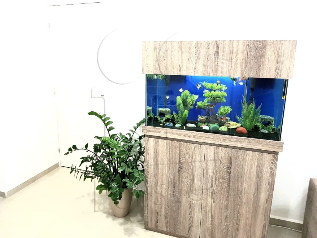 Apartamento à venda no PARQUE NOVO MUNDO: Foto 01