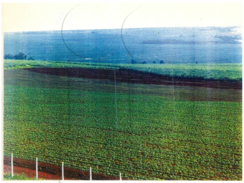 AREA à venda no RODOVIA ANHANGUERA: Foto 03