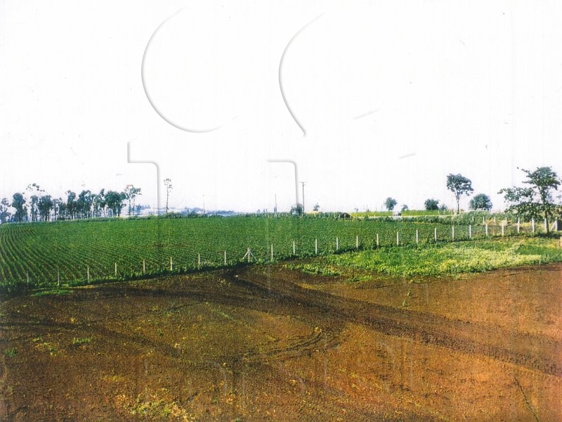 AREA à venda no RODOVIA ANHANGUERA: Foto 05