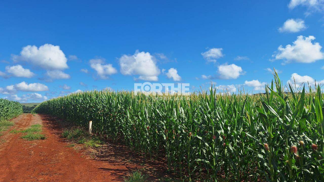 Área Rural Espigão Azul 19m²