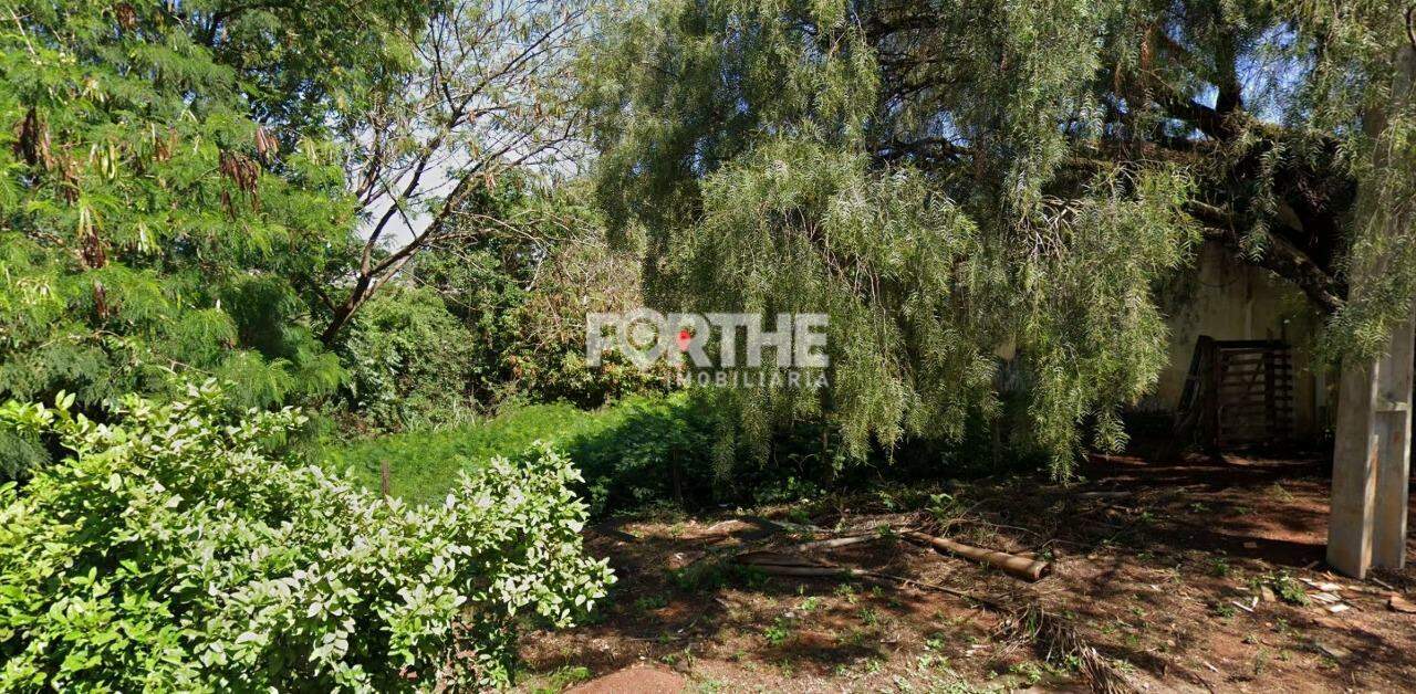 Terreno Alto Alegre 480m²