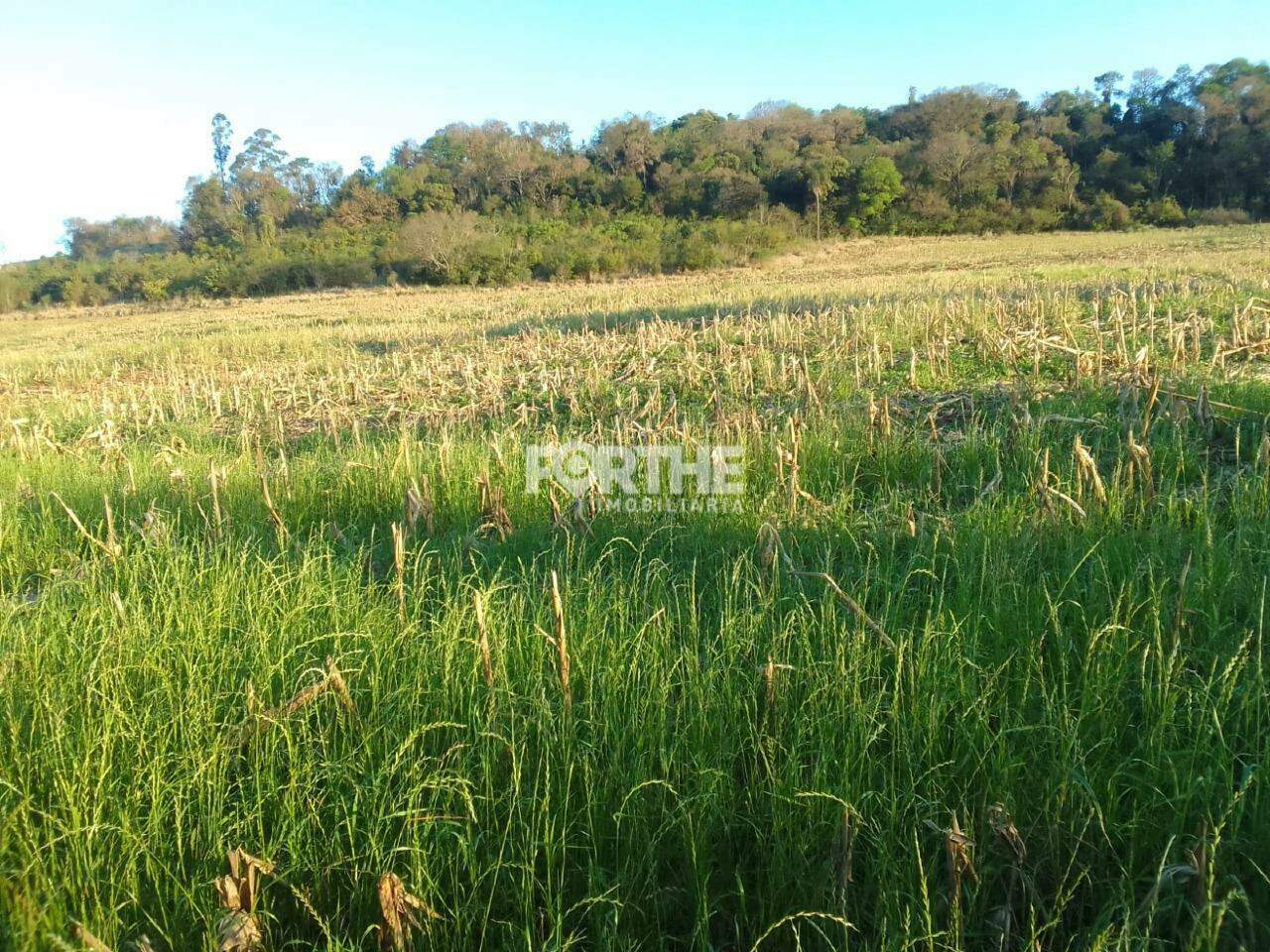 Área Rural Rio Do Salto 37.116m²