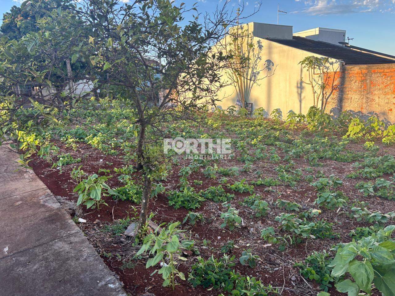 Terreno à venda no Centro: 