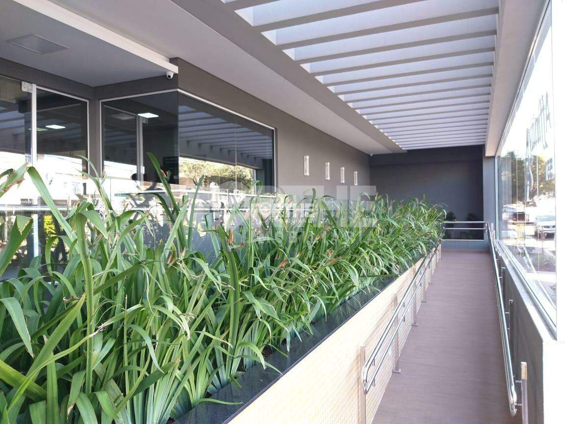 Apartamento à venda no Jardim Maria Luiza: 