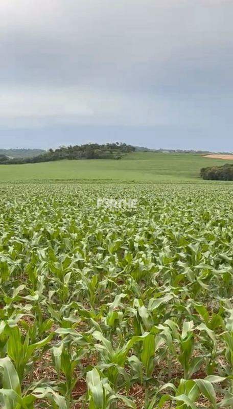 Rural à venda no Área Rural: