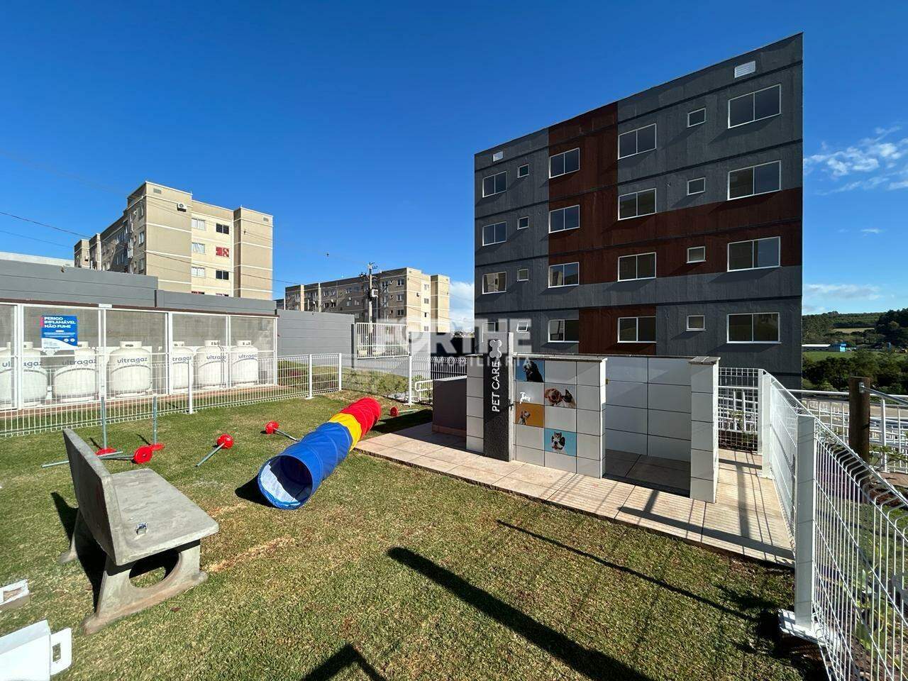Apartamento para aluguel no Floresta: 