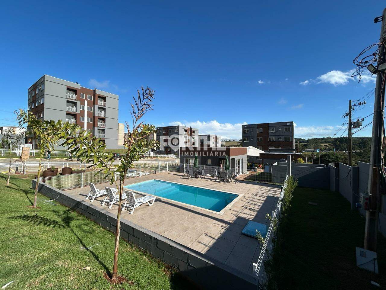 Apartamento para aluguel no Floresta: 