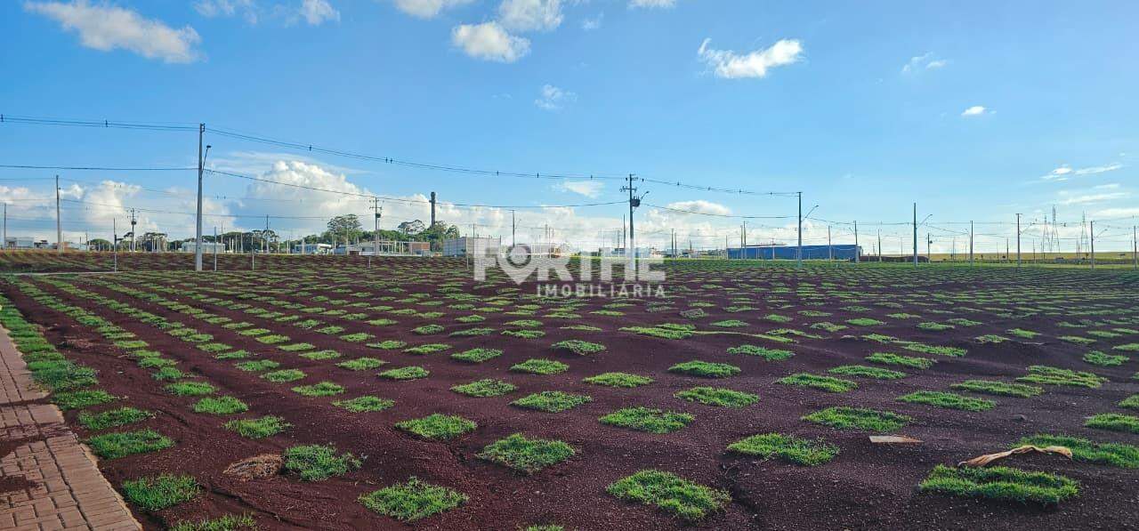 Terreno à venda no Bella Vita: 