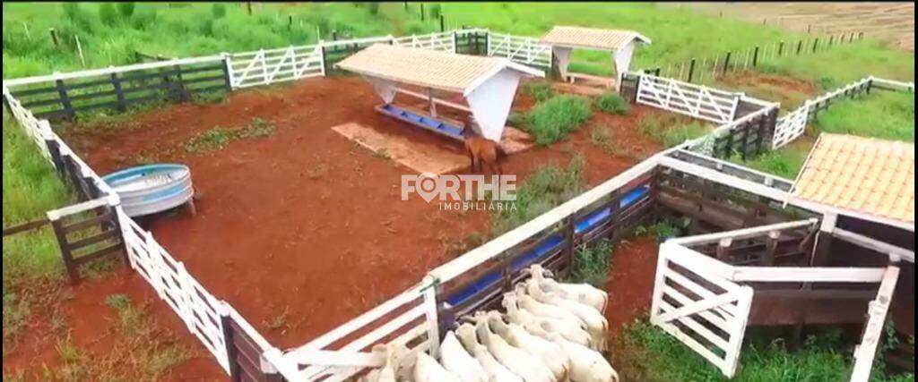 Rural à venda no Área Rural: 