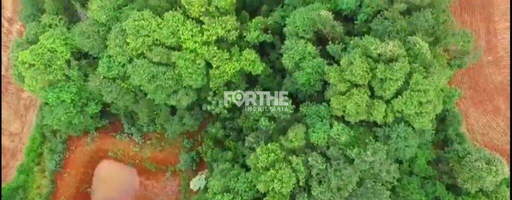 Rural à venda no Área Rural: 