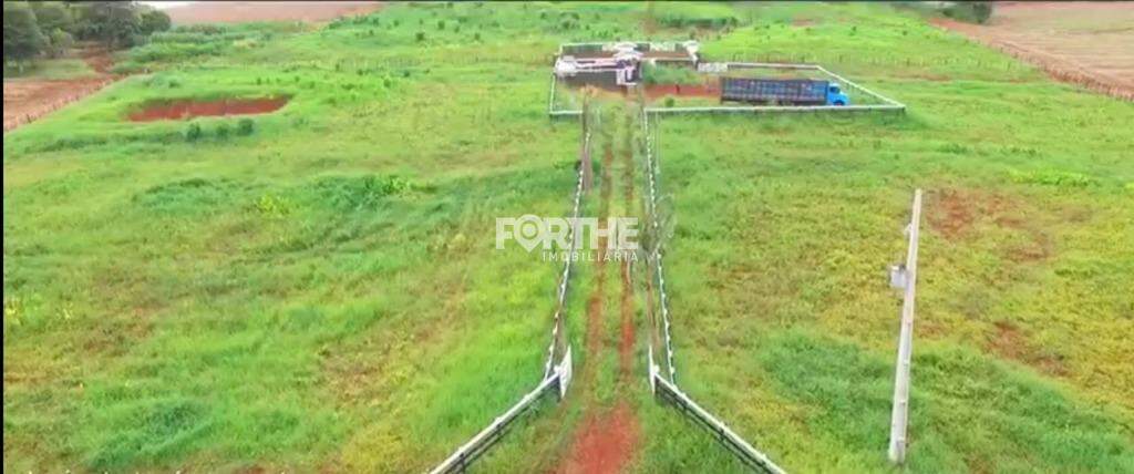 Rural à venda no Área Rural: 