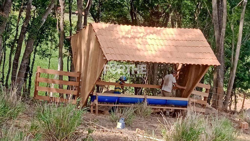 Rural à venda no Área Rural: 