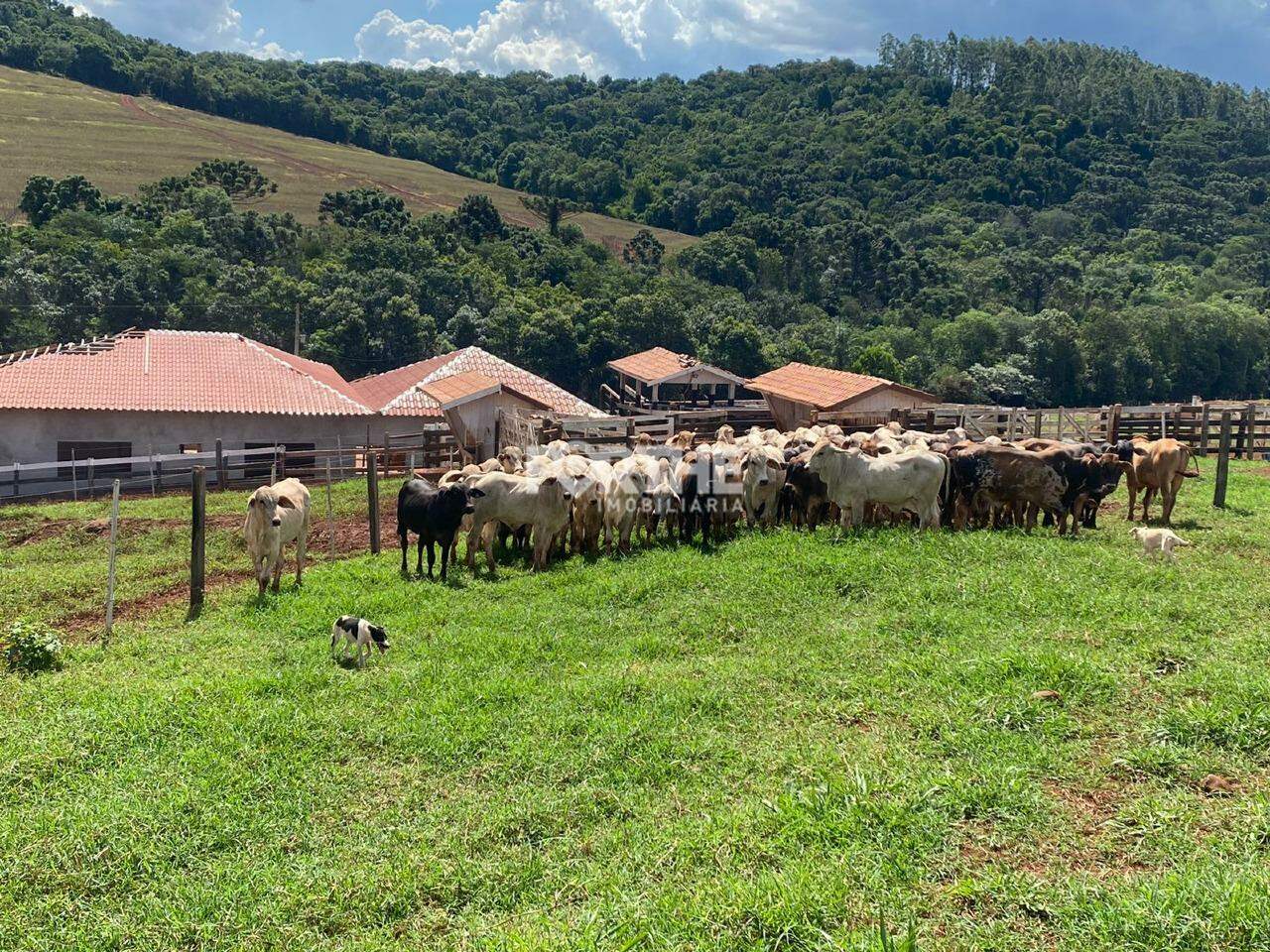 Rural à venda no Área Rural: 