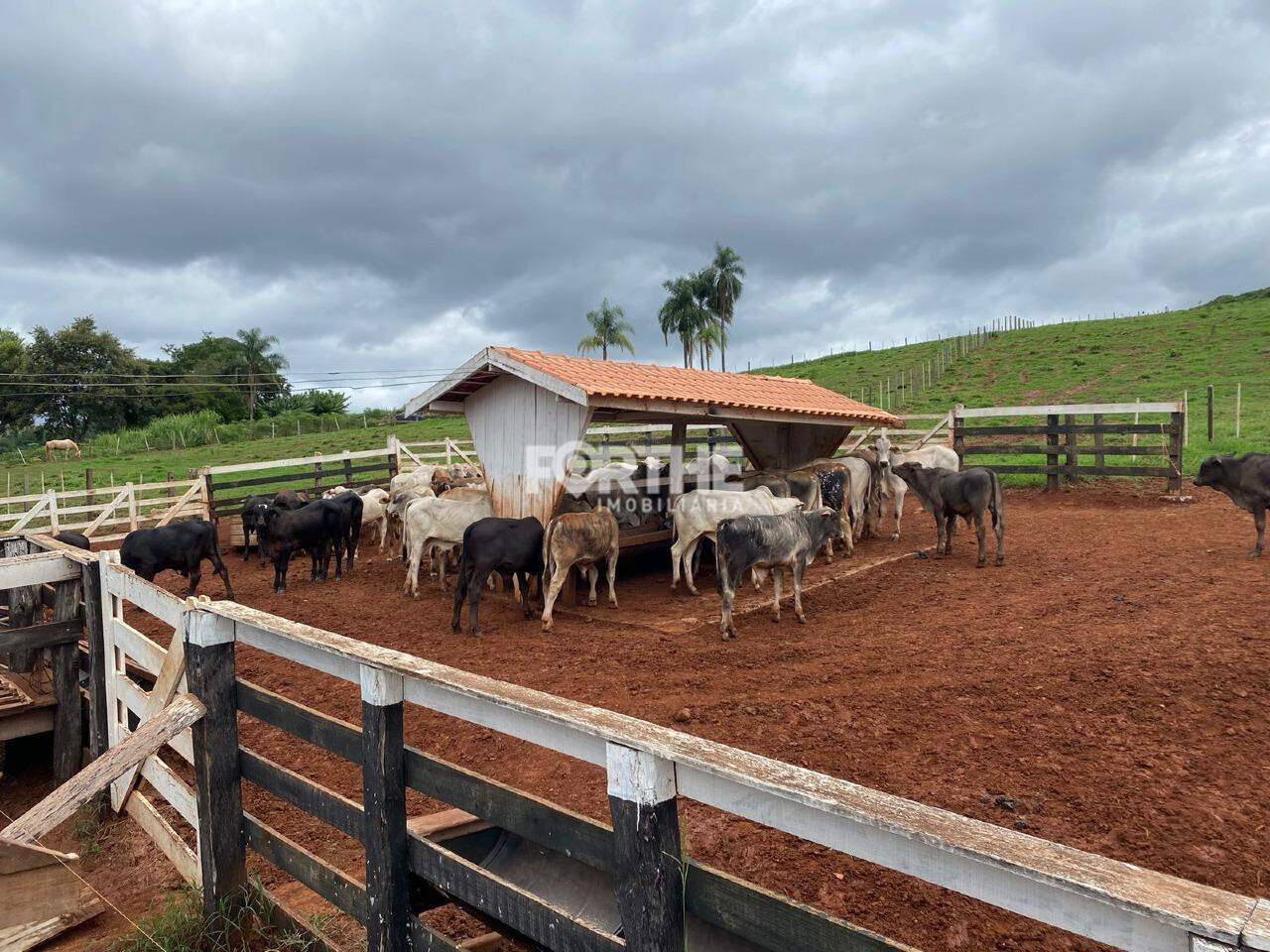 Rural à venda no Área Rural: 