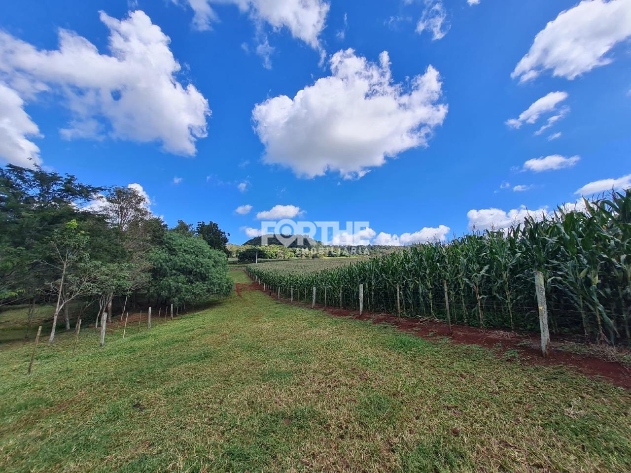 Sítio à venda no Zona Rural: