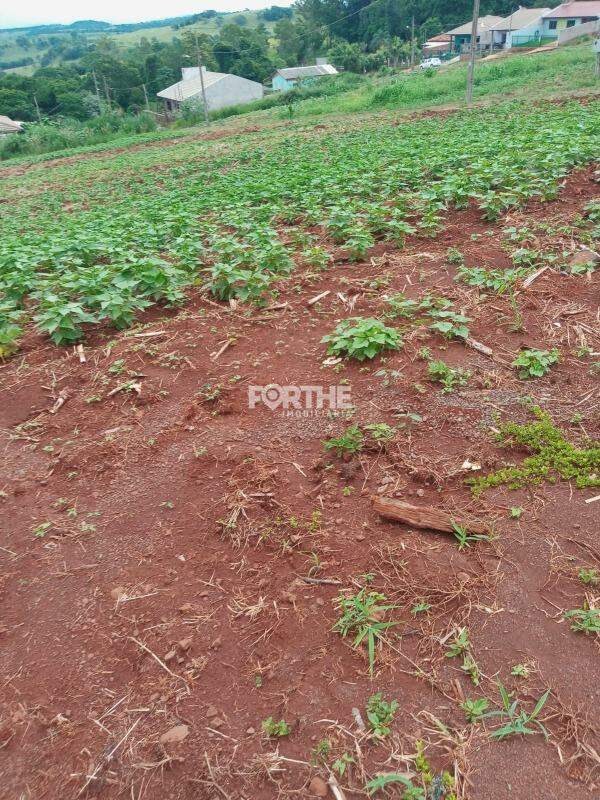 Terreno à venda no Centro : 