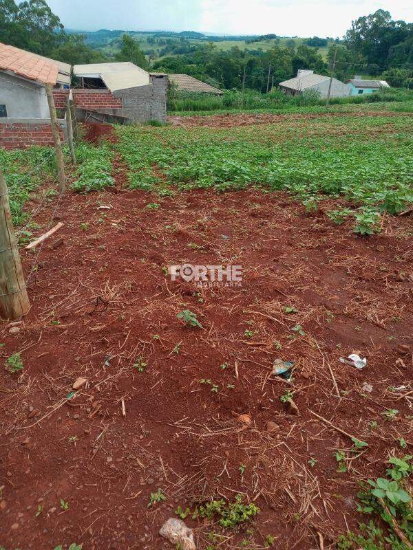 Terreno à venda no Centro : 