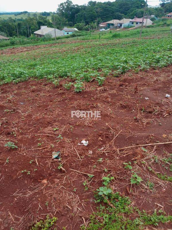 Terreno à venda no Centro : 