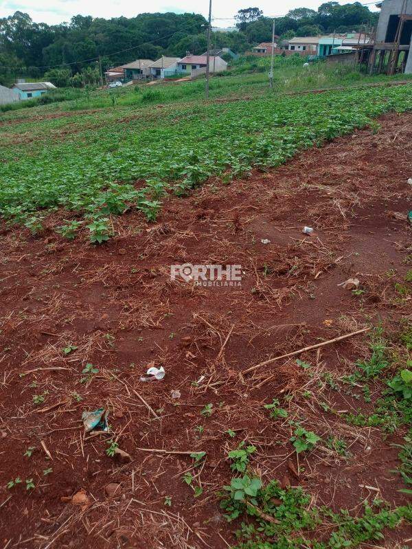 Terreno à venda no Centro : 