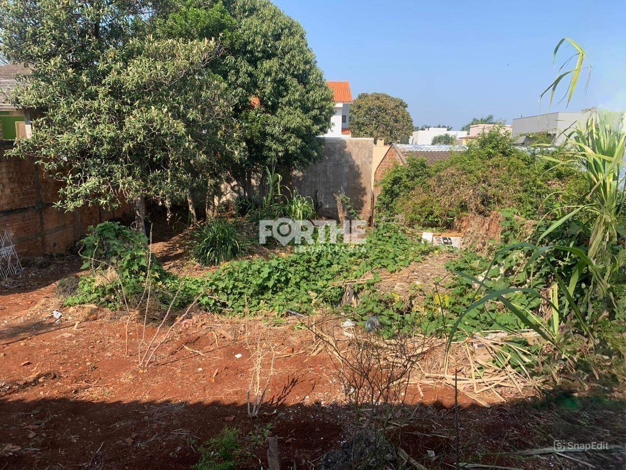 Terreno Jardim Nova York 480m²