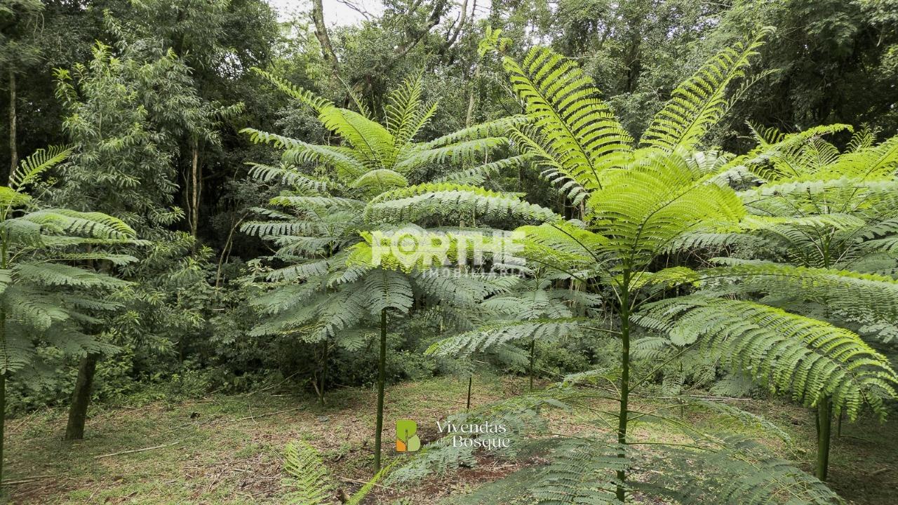 Loteamento à venda no Interlagos: 