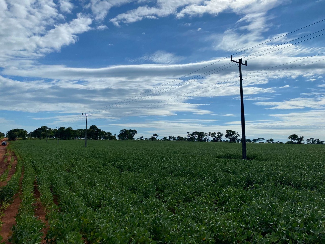 Sítio à venda no CORONEL SAPUCAI: 