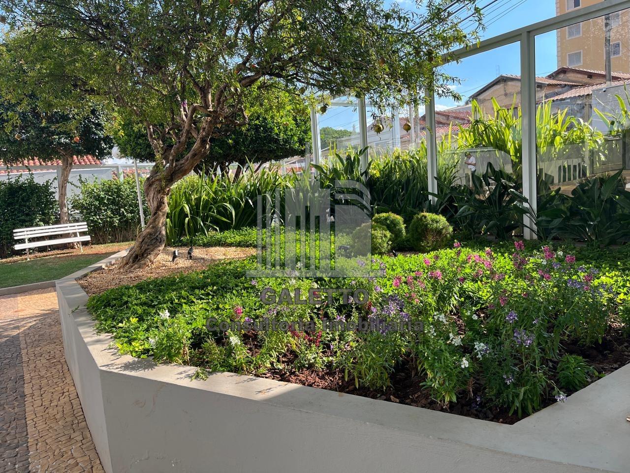 Apartamento à venda no Bosque: 