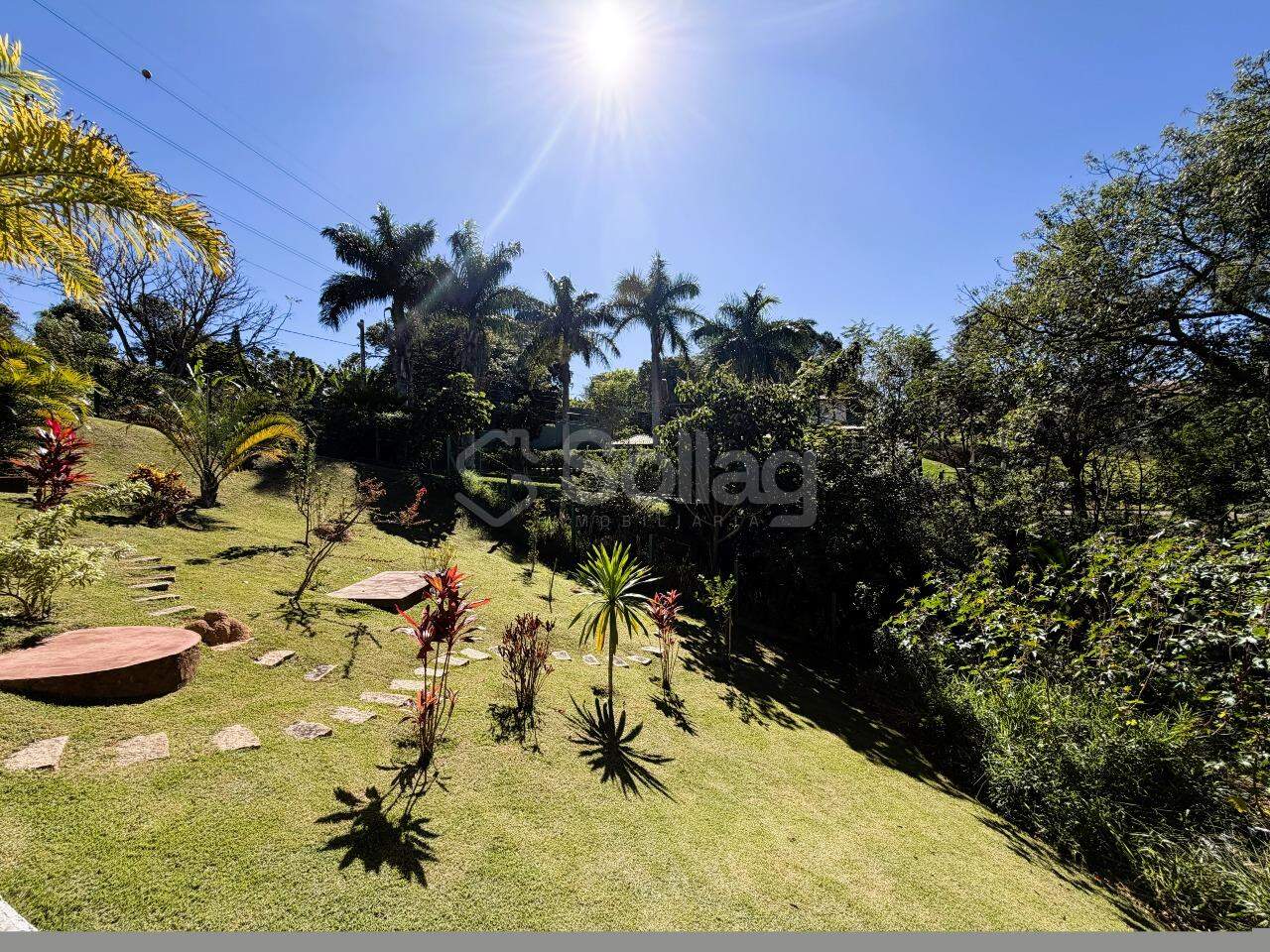Casa em condomínio à venda no Condomínio Bosque das Araras: 