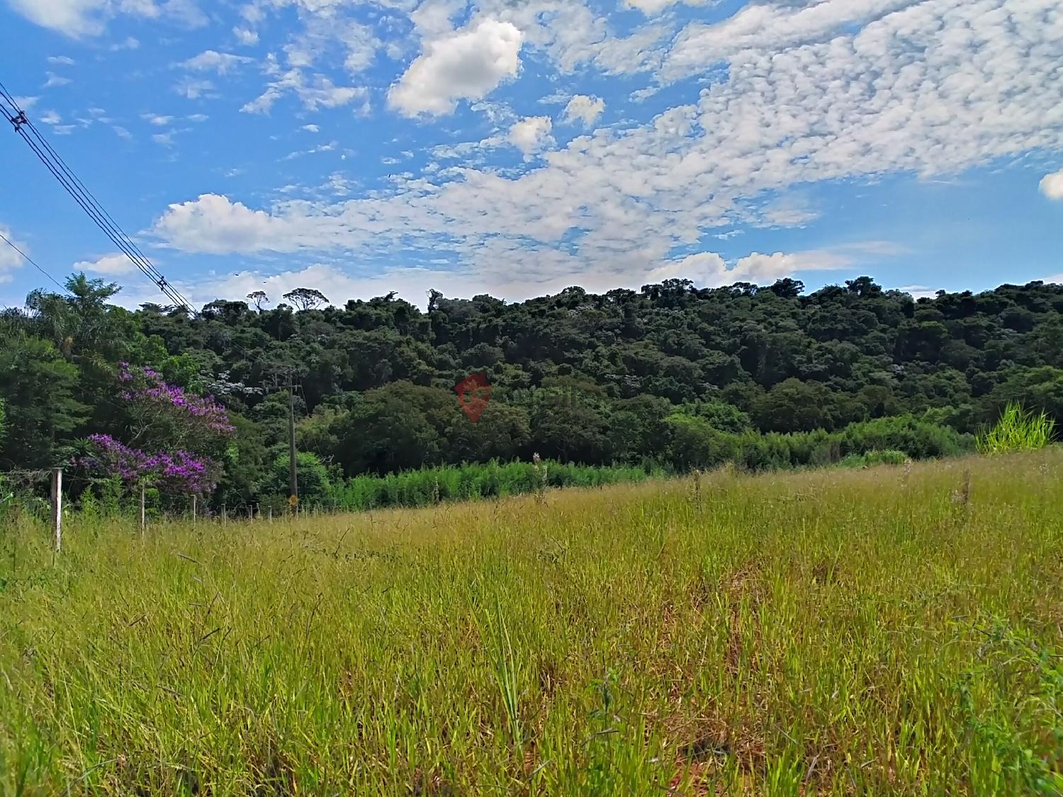 terreno à venda no Caixa D´Água: imagens_233718.jpg