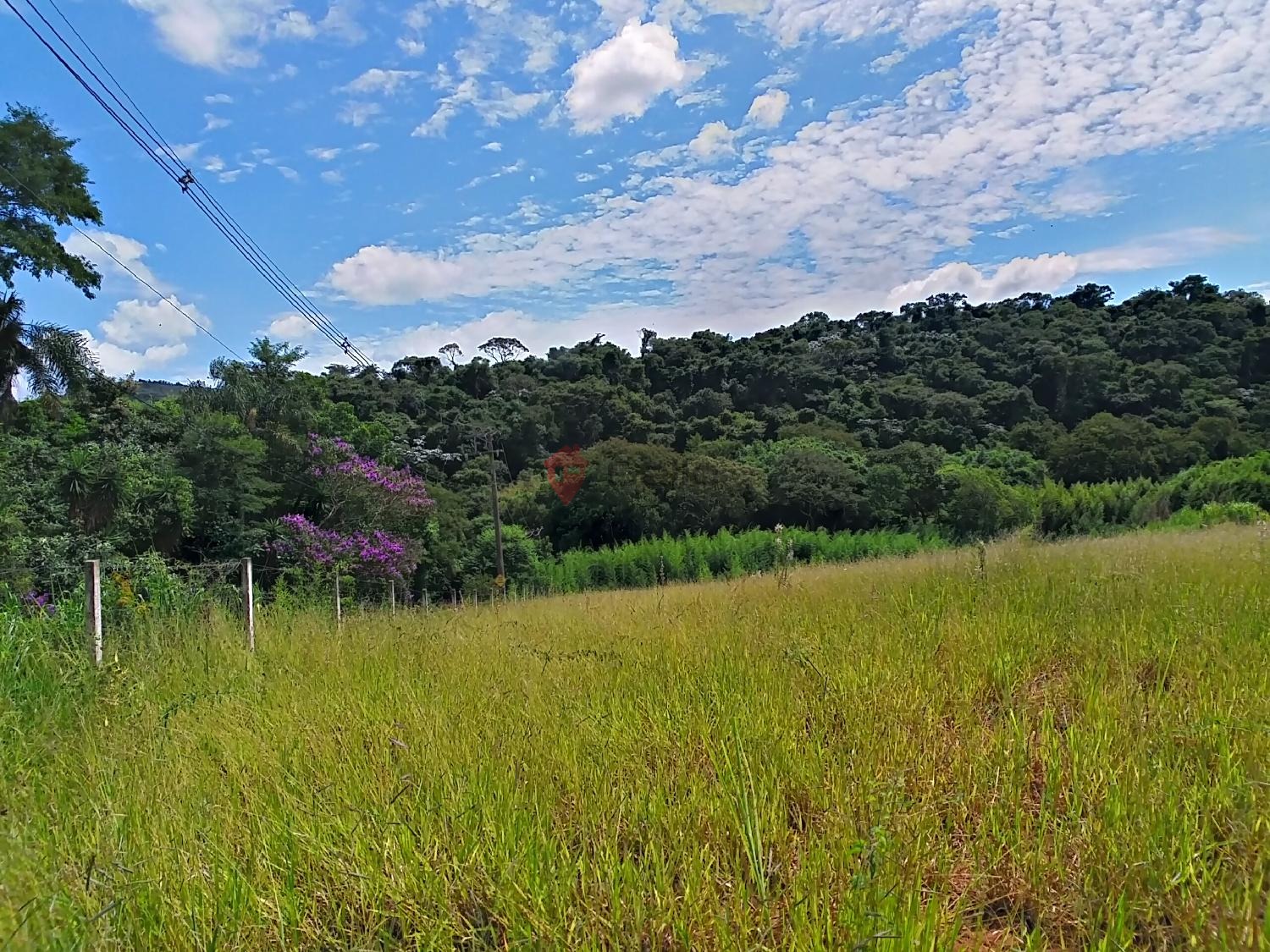 terreno à venda no Caixa D´Água: imagens_429937.jpg